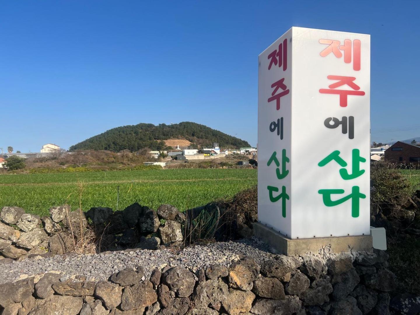 Living In Jeju Islandアパートメント エクステリア 写真